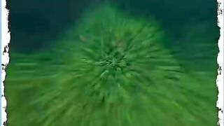 अरवल सकट क जद म दश क महज 4 रजय नह, हमलय पर भ मडरएग बड खतर