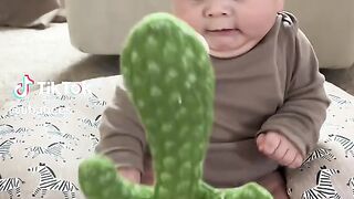 Funny Babys