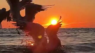 Beautiful nature