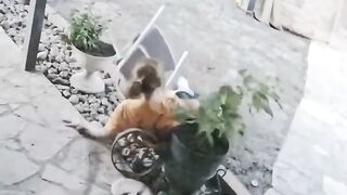 Funny