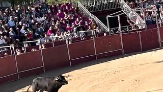 Matador