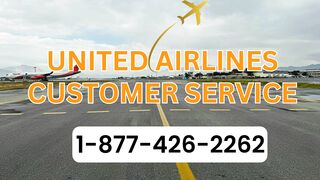 Full United Airlines Customer Service   Complete 247 Support Guide