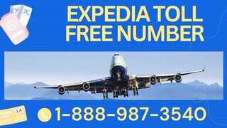 Expedia Customer Service Official SUPPORT Number, TOLL FREE Helpline 247 Complete Guide