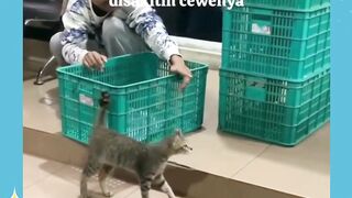 Herannya KO DIA NGERTI GITU