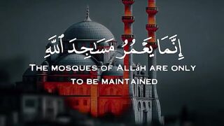 Tilawat e Quran Majeed