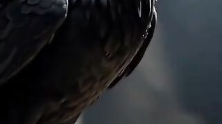 The story of the crow and the man in the cave