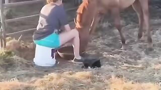 Damn that was an incredibly powerful hit.  Is she okay?