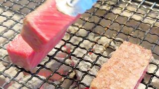 Sizzle  Smoke The Ultimate Guide to Japanese Yakiniku
