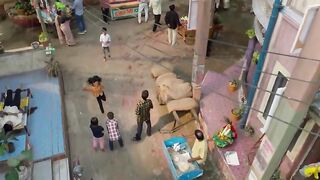 Tum Se Tum Tak Episode 172