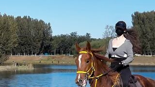 Horse Riding