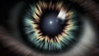 Takeover Litii Waryah