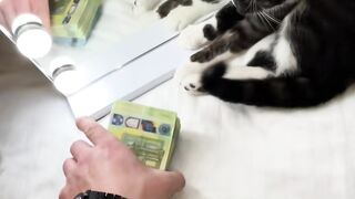 Million. -------Billionaire------Rich