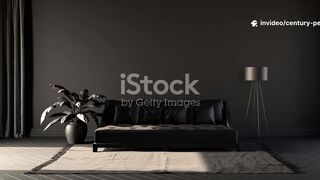 Century Pest Control