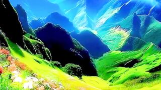 wonderful internetculture birds lifeisbutadream musicgenre