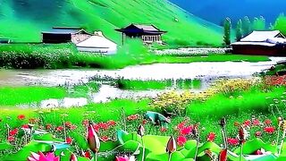 ক সনদর শপল ফল internetculture lifeisbutadream cute musicgenre