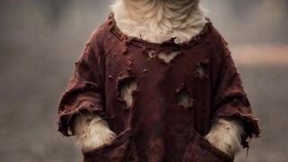 poor puppy sad and emotional