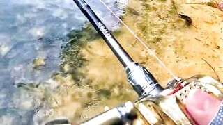 No Fish Today, Still a Lesson for Life