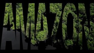 The Magnificent Adventure Through the Amazon Rainforest