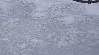 Fishing on a Frozen lake