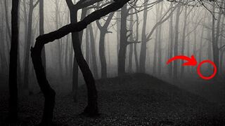 The Worlds Ten Most Dangerous Forests