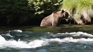 Beautiful nature