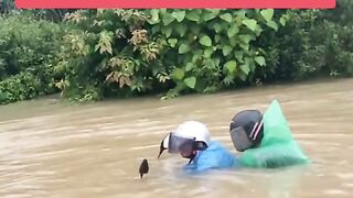 Funnyvideos