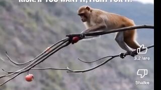 nothing comes out without RISK