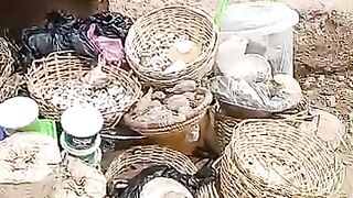 I NEED A DEATH SPELL CASTER 2347069966756