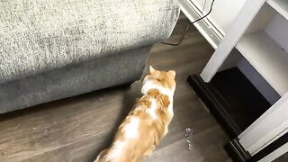 He gets