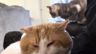 Menace in the back
