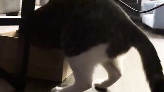 Doesnt fit
