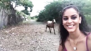 Greetings from the goat