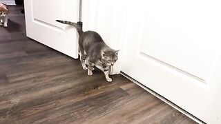He wants