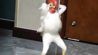 Chicken dancing