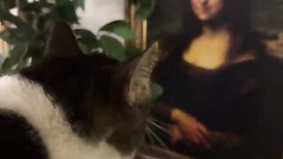 Introducing TK to art around the house
