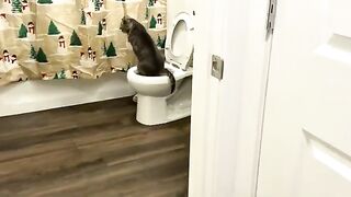 Flush