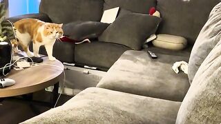 The most wholesomely controversial video uploaded today