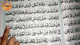 Learn Quran at home surah Al Baqarah
