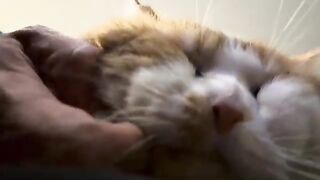 Too close