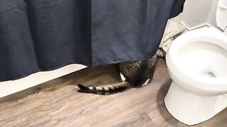 The big reveal