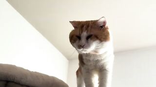 The boy on the fridge