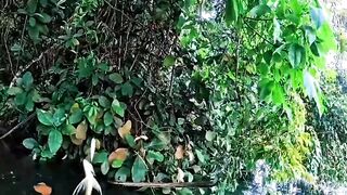 Fishing Teaches Patience, Not Speed