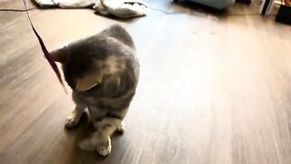 Caught being a kitty