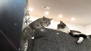 Menacing to menace