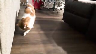 He gets