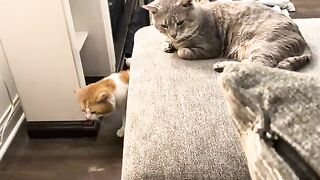 They dont care