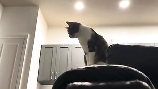 Hi buddy