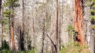 Beautiful nature