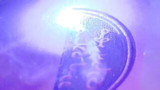 Making a seal with a laser engraving machine