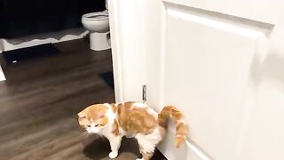 Im home, takes a patting